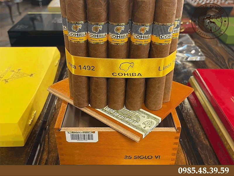 Giới thiệu về dòng xì gà Cohiba Siglo 6