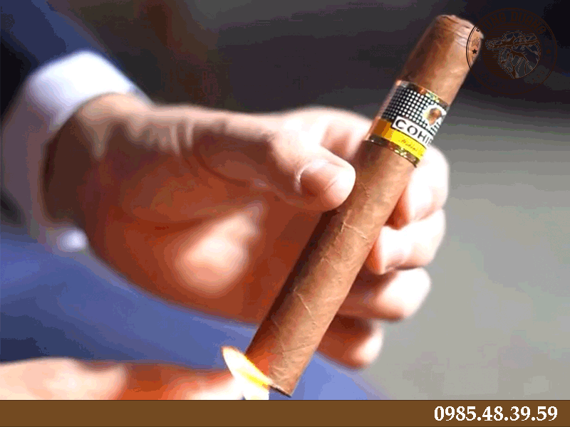 Mô tả về xì gà Cohiba Siglo VI