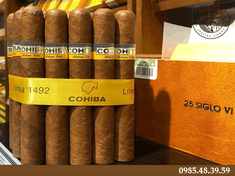 Tìm hiểu về dòng xì gà Cohiba Siglo VI