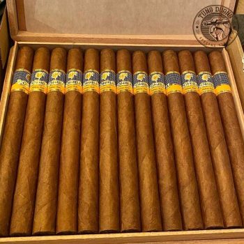 Xì gà Cohiba Esplendidos - hộp 25 điếu chính hãng