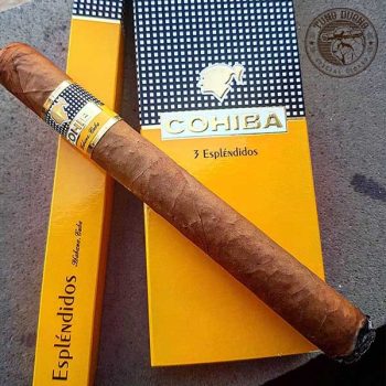 Xì gà Cohiba Esplendidos - hộp 5 điếu hàng chính hãng