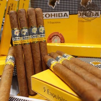 Xì gà Cohiba Cohiba Exquisitos - hộp 5 điếu chính hãng