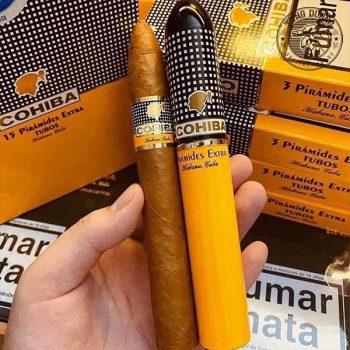 Xì gà Cohiba Piramides Extra Tubos - hộp 3 điếu chính hãng