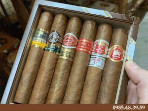 Xì gà Cuba Habanos giá bao nhiêu?